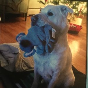 Meet your Posher, Mary